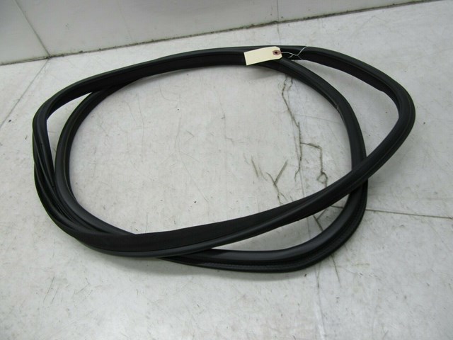 2014-2018 INFINITI Q50 OEM RIGHT REAR DOOR ON BODY WEATHER STRIP