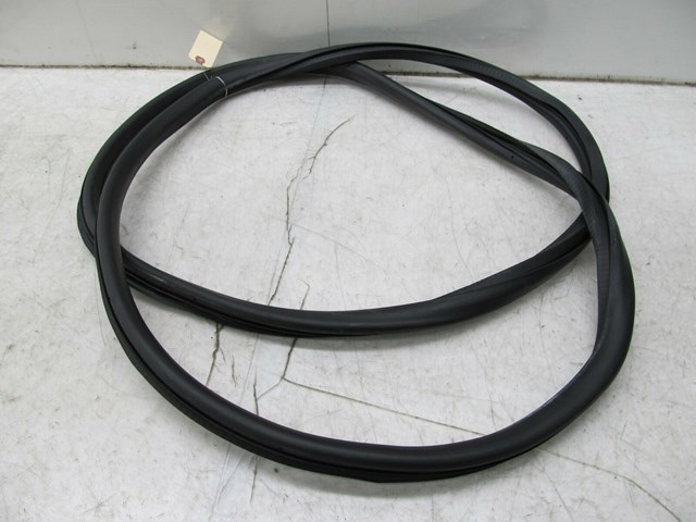2005-2008 AUDI A6 C6 OEM LEFT FRONT DOOR WEATHER STRIP SEAL 