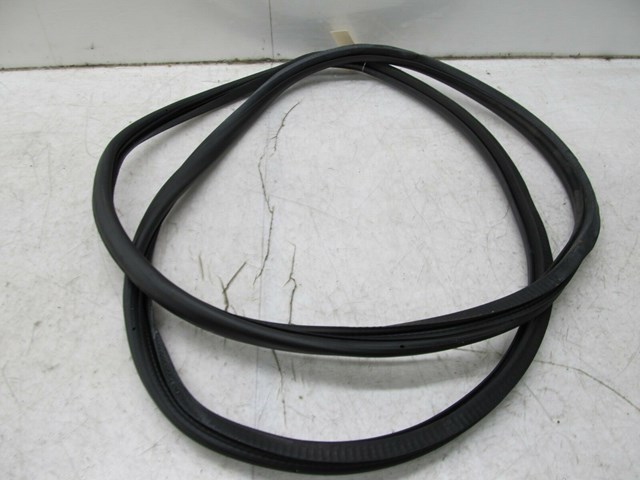 2005-2008 AUDI A6 C6 OEM LEFT FRONT DOOR WEATHER STRIP SEAL 