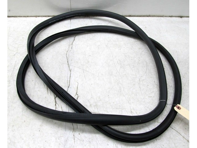 2005-2008 AUDI A6 C6 OEM LEFT FRONT DOOR WEATHER STRIP SEAL 