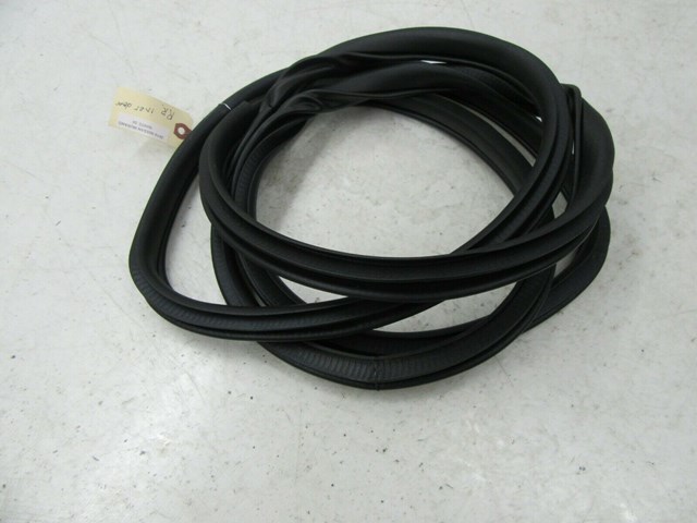 2015-2019 NISSAN MURANO OEM RIGHT REAR PASS SIDE DOOR WEATHER STRIP INNER SEAL