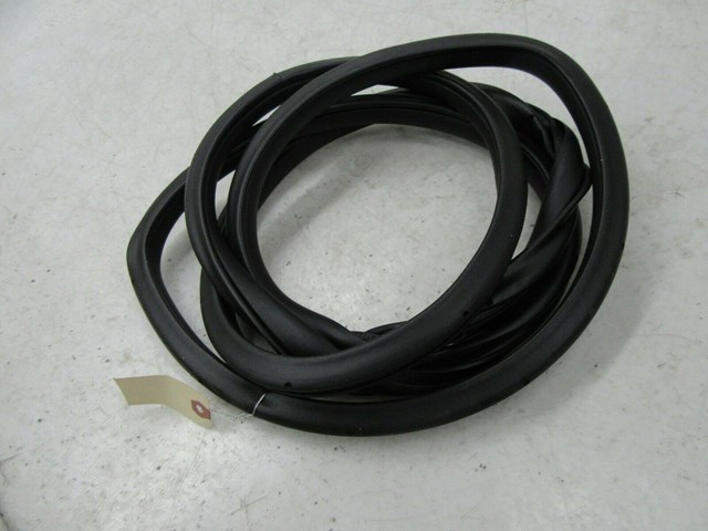 2015-2019 NISSAN MURANO OEM RIGHT REAR PASS SIDE DOOR WEATHER STRIP INNER SEAL
