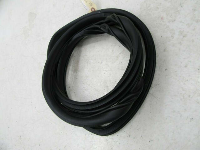 2015-2019 NISSAN MURANO OEM RIGHT REAR PASS SIDE DOOR WEATHER STRIP INNER SEAL
