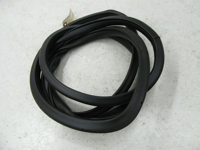 2015-2019 NISSAN MURANO OEM RIGHT REAR PASS SIDE DOOR WEATHER STRIP INNER SEAL