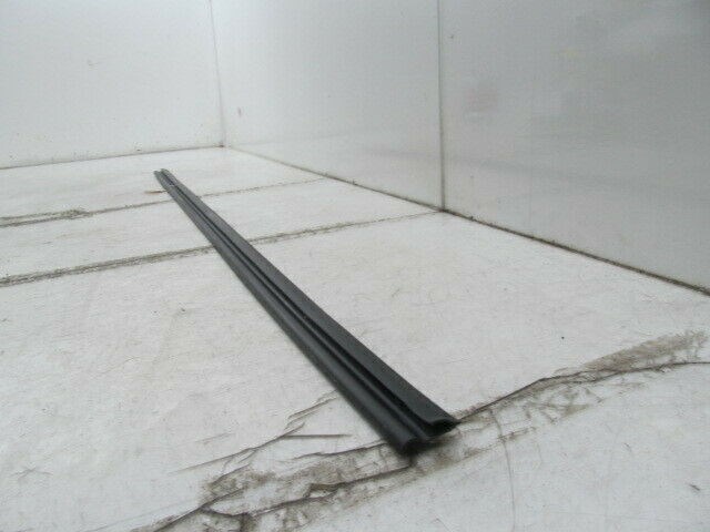 2015-2019 NISSAN MURANO OEM RIGHT PASSENGER SIDE BODY WEATHER STRIP 