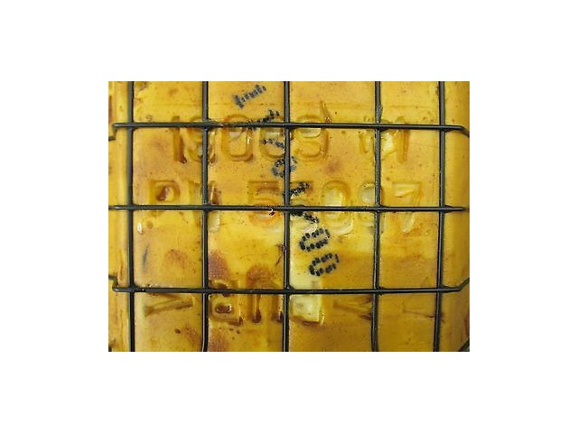 1998-2004 BENTLEY ARNAGE OEM LEFT REAR DRIVER'S SIDE LOWER SEAT CUSHION LEATHER