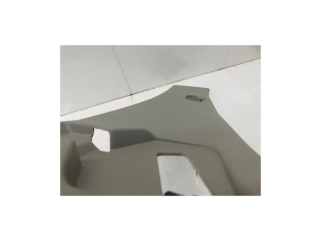 2007-2009 NISSAN QUEST OEM REAR INTERIOR ROOF SEAT BELT LIGHT TRIM