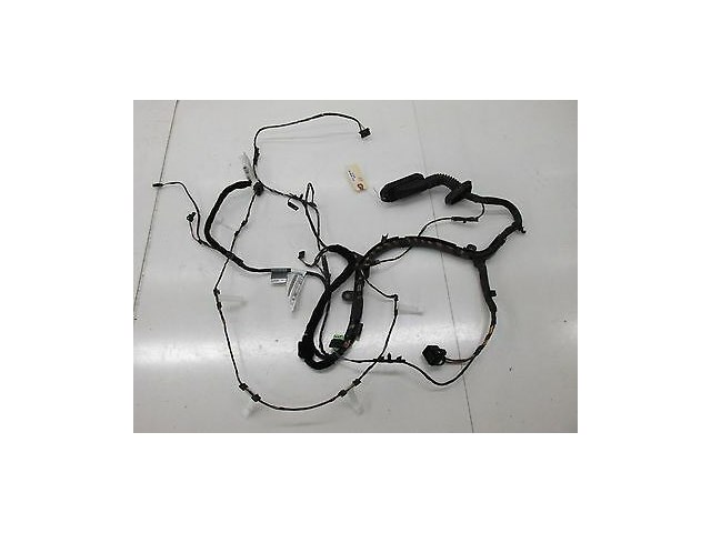 2006-2010 BMW M6 E63 OEM RIGHT FRONT PASSENGER'S SIDE DOOR WIRE WIRING HARNESS