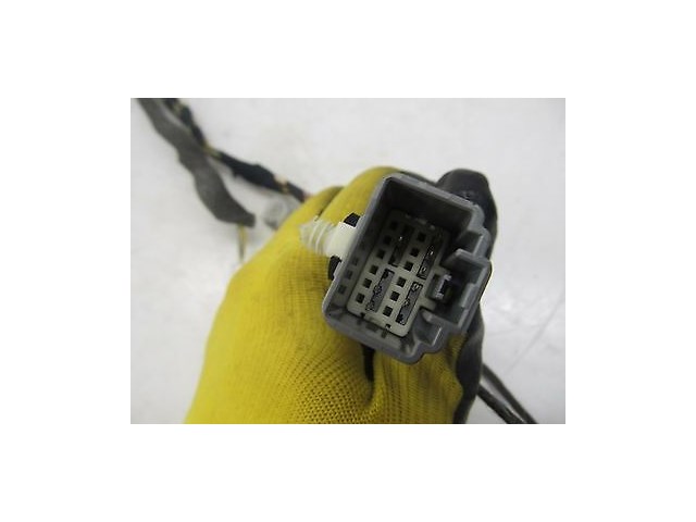 2004-2007 JAGUAR XJ8 X350 OEM RIGHT REAR DOOR WIRE WIRING HARNESS 