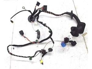 2013-2015 PORSCHE BOXSTER 981 OEM LEFT FRONT DRIVER DOOR WIRE WIRING HARNESS