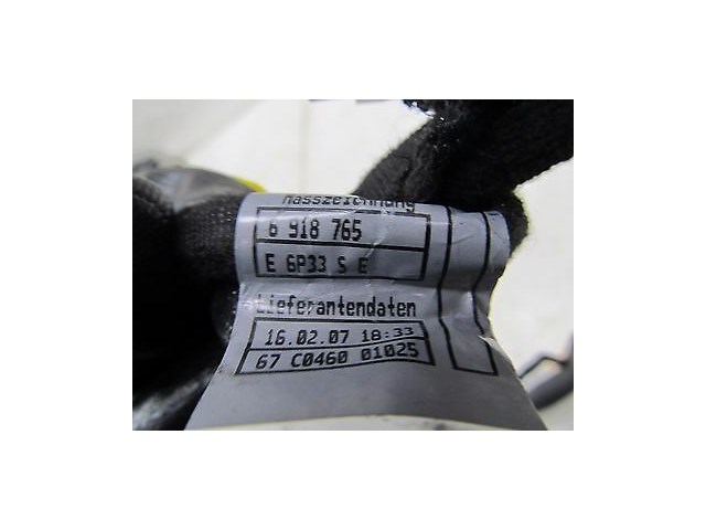 2006-2008 BMW 750LI E66 E65 OEM LEFT REAR DRIVER SIDE DOOR WIRING HARNESS