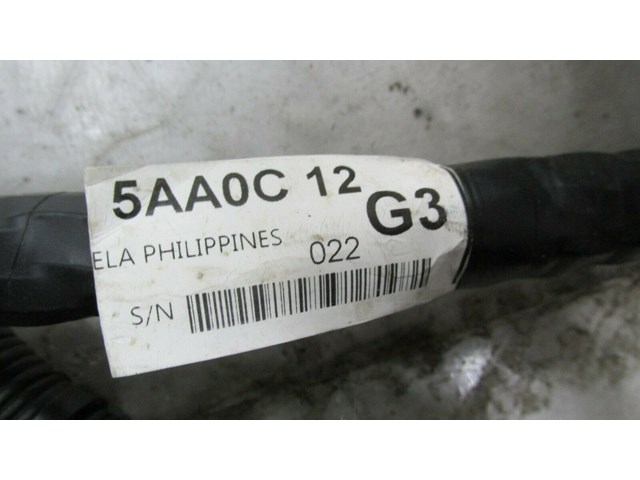 2015-2019 NISSAN MURANO OEM RIGHT PASSENGER SIDE CHASSIS BODY WIRE HARNESS   