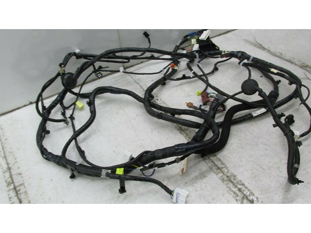 2015-2019 NISSAN MURANO OEM RIGHT PASSENGER SIDE CHASSIS BODY WIRE HARNESS   