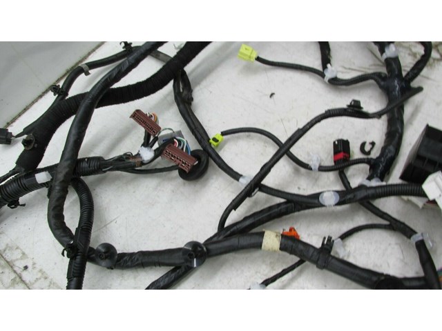 2015-2019 NISSAN MURANO OEM RIGHT PASSENGER SIDE CHASSIS BODY WIRE HARNESS   