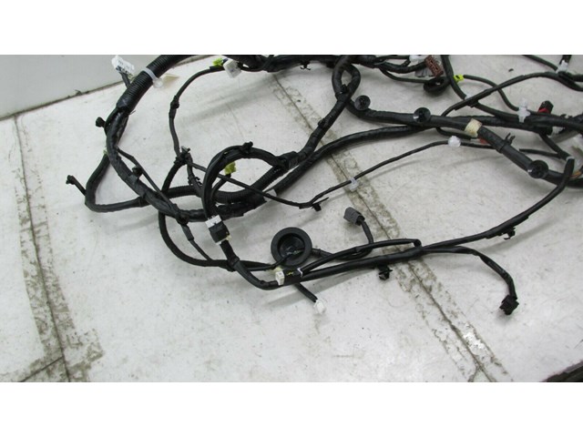 2015-2019 NISSAN MURANO OEM RIGHT PASSENGER SIDE CHASSIS BODY WIRE HARNESS   