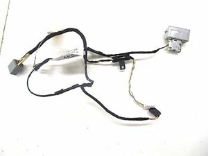 2004-2007 JAGUAR XJ8 X350 OEM RIGHT REAR DOOR PANEL WIRE WIRING HARNESS