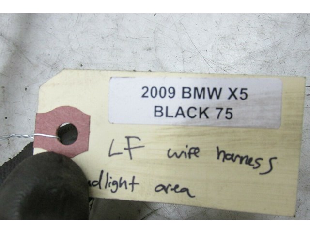 2007-2010 BMW X5 E70 OEM LEFT FRONT WIRE HARNESS HEADLIGHT AREA 