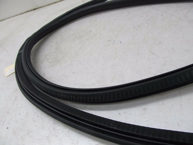 2004-2008 AUDI A8L W12 OEM LEFT REAR DRIVER SIDE DOOR WEATHERSTRIP SEAL