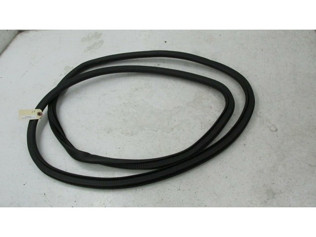 2017-2019 BUICK LACROSSE OEM LEFT FRONT DOOR ON BODY WEATHERSTRIP SEAL      