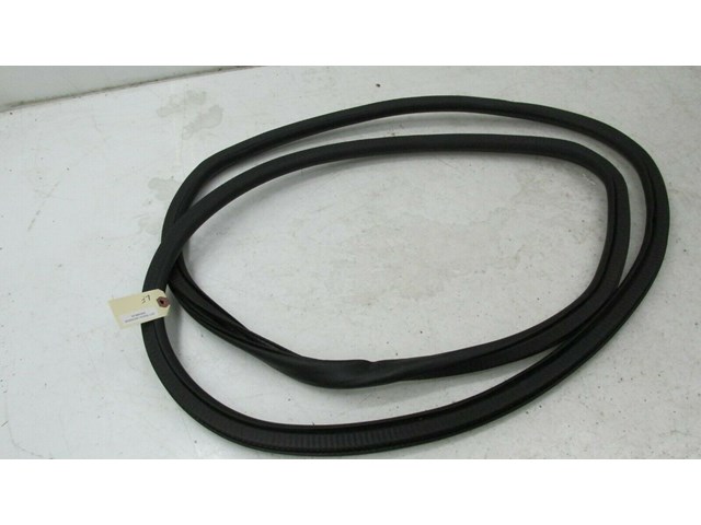 2017-2019 BUICK LACROSSE OEM LEFT FRONT DOOR ON BODY WEATHERSTRIP SEAL      