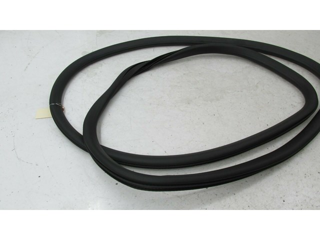 2017-2019 BUICK LACROSSE OEM LEFT FRONT DOOR ON BODY WEATHERSTRIP SEAL      