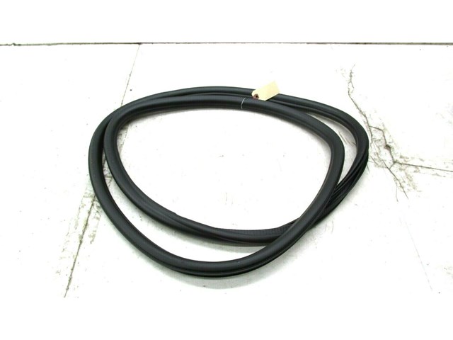 2013-2017 CADILLAC XTS OEM  LEFT REAR DOOR INNER ON BODY WEATHERSTRIP SEAL 