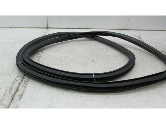 2013-2017 CADILLAC XTS OEM  LEFT REAR DOOR INNER ON BODY WEATHERSTRIP SEAL 