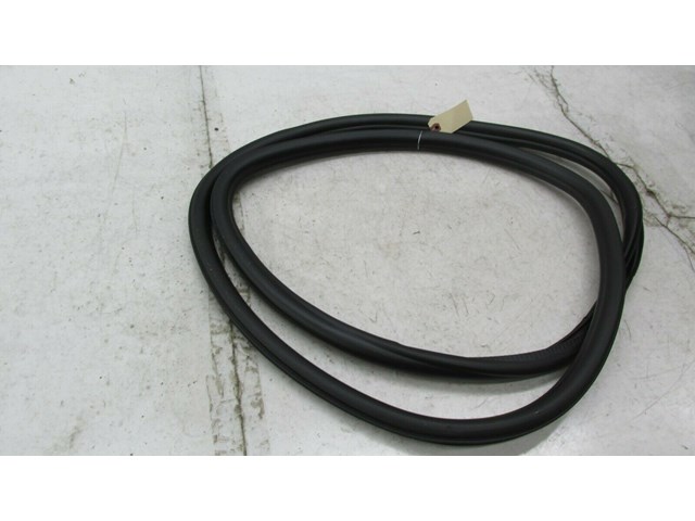2013-2017 CADILLAC XTS OEM  LEFT REAR DOOR INNER ON BODY WEATHERSTRIP SEAL 