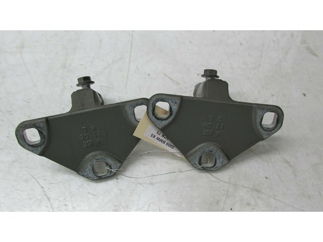  2007-2010 BMW X5 E70 OEM REAR TRUNK LOWER HATCH PAIR