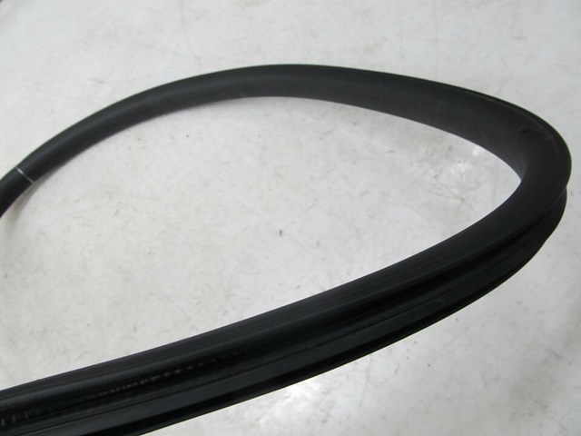  2013-2017 CHEVY TRAVERSE OEM LEFT REAR DOOR WINDOW WEATHERSTRIP SEAL TRIM