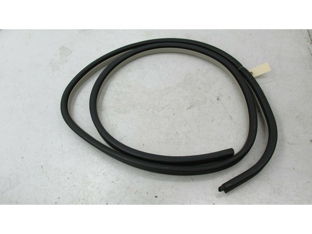 2011-2015 LINCOLN MKX OEM RIGHT REAR DOOR ON BODY WEATHERSTRIP SEAL             