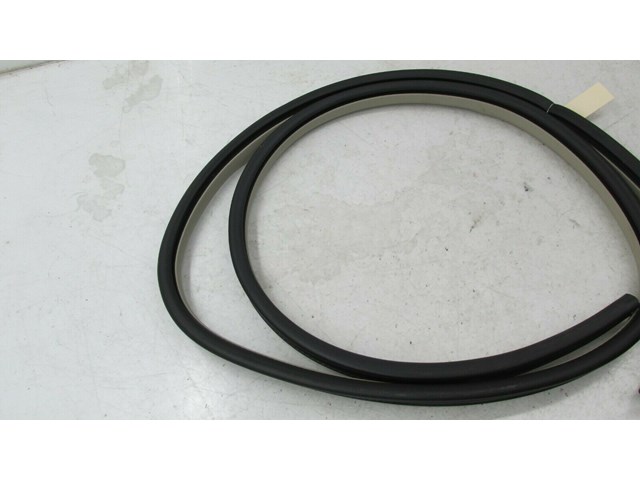 2011-2015 LINCOLN MKX OEM RIGHT REAR DOOR ON BODY WEATHERSTRIP SEAL             