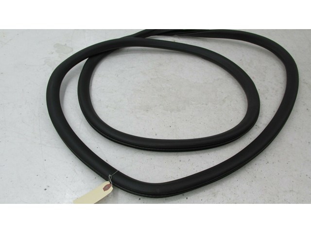 2017-2019 BUICK LACROSSE OEM LEFT REAR DOOR ON BODY WEATHERSTRIP SEAL      