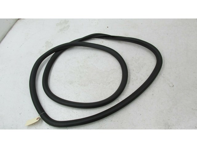 2017-2019 BUICK LACROSSE OEM LEFT REAR DOOR ON BODY WEATHERSTRIP SEAL      