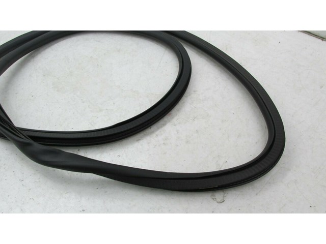 2017-2019 BUICK LACROSSE OEM LEFT REAR DOOR ON BODY WEATHERSTRIP SEAL      