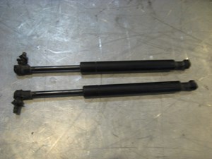 06 Infiniti G35 Rear Trunk Struts  R16823