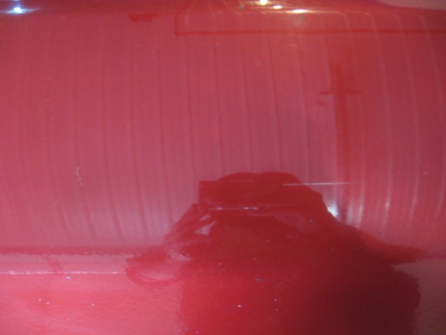 03 Subaru IMPREZA WRX Wagon Front RH Passenger Door  R12256