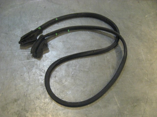 08 Infiniti G37 LH Driver Door Seal  R17596
