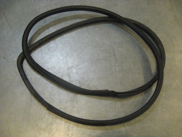 03 Nissan 350Z RH Passenger Door Seal  R17791