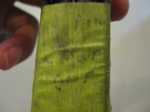 98 Honda PRELUDE Prelude Bottom Door Seal  R4891