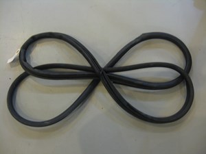 05 Nissan 350Z Driver Door Seal  R5139