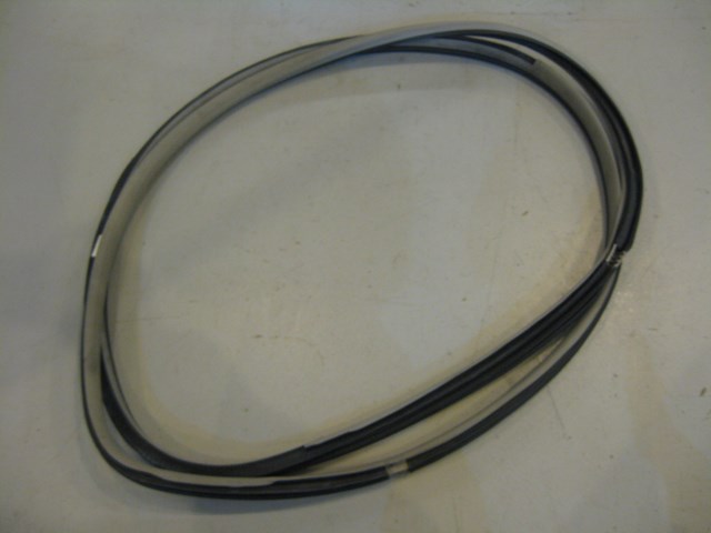 05 Infiniti G35 LH Driver Door Seal Tan  R5992