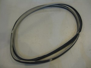 05 Infiniti G35 LH Driver Door Seal Tan  R5992