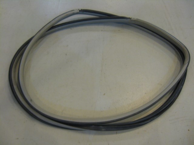 05 Infiniti G35 RH Passenger Door Seal Tan  R5993