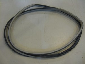 05 Infiniti G35 RH Passenger Door Seal Tan  R5993