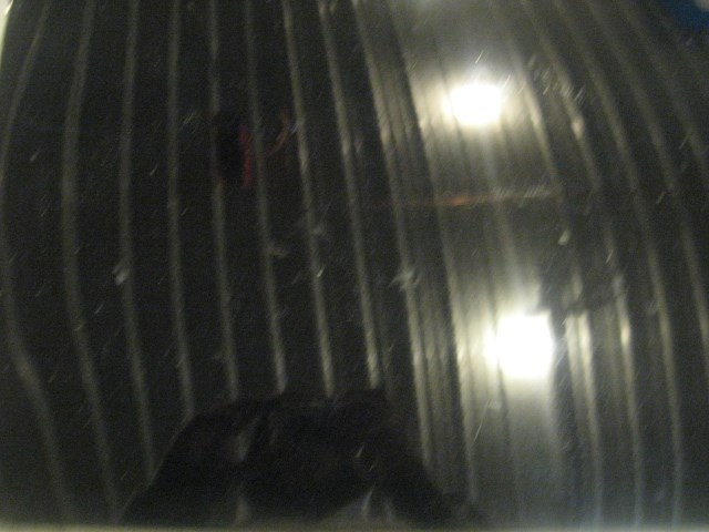 03 Infiniti G35 Coupe Driver Door Shell  R13548