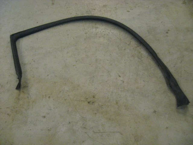 03 Infiniti G35 RH Passenger Door Seal  R13563