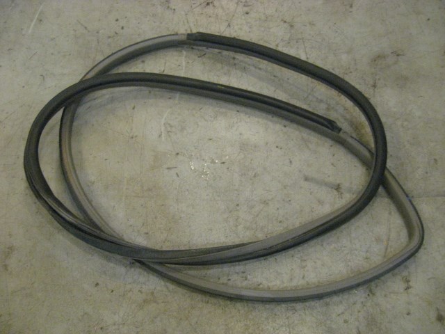 06 Nissan 350Z RH Passenger Door Seal  R13788