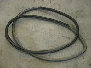 06 Nissan 350Z RH Passenger Door Seal  R13788
