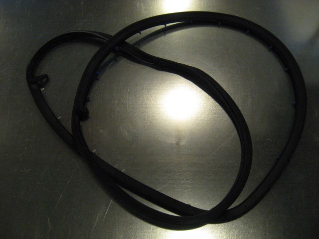 06 Audi S4 AUDI Rear LH Driver Door Seal  R14099